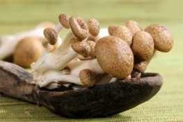 Các loại Nấm ngon, bổ dưỡng