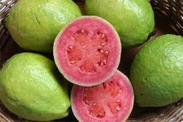 Công dụng và những món ngon từ Ổi