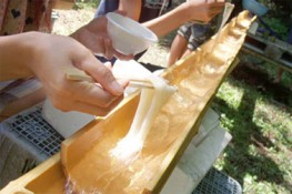 Mỳ máng tre - Độc đáo xứ Hoa Anh Đào