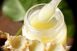 Những hiểu biết và công dụng của Sữa ong chúa