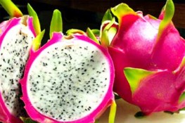Hè về, ăn Thanh Long trị rôm sẩy