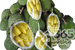 Sầu riêng không chỉ bổ thận tráng dương
