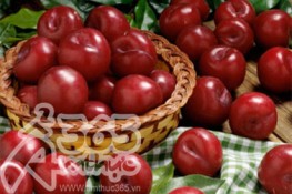 Quả Mận - tăng cường sinh lực cho phái mạnh