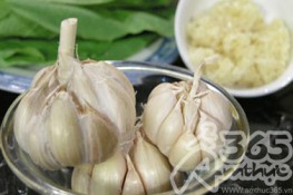 Ai không nên ăn Tỏi?