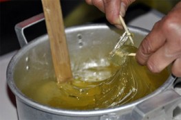 Công dụng chữa bệnh của Mạch nha