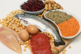 Protein cần thiết cho sự tăng trưởng và phát triển của cơ thể