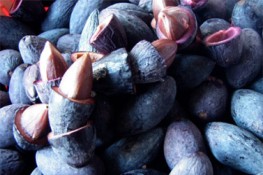 Món ngon từ trám đen