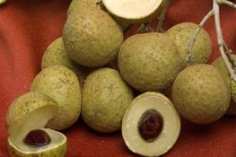 Công dụng của trái Nhãn
