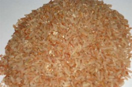 Dẻo thơm cơm gạo mặn Bạc Liêu