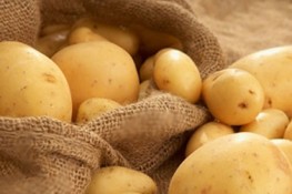 Chọn và bảo quản khoai tây