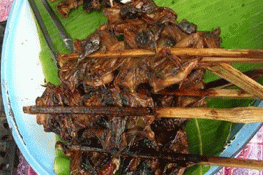 Đặc sản thịt dơi