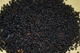 Chữa khô miệng