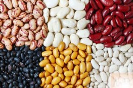 Công dụng của một số loại đậu ngon