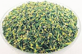 Bài thuốc quý từ tâm sen