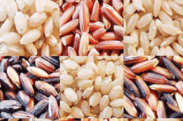 Bài thuốc dưỡng sinh từ gạo lứt