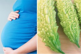 Bầu bí có nên ăn mướp đắng?
