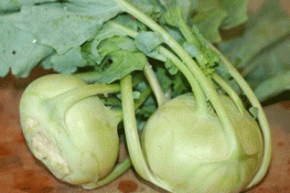 Ăn su hào tốt cho sức khỏe
