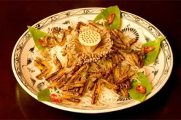 Dân dã món châu chấu rang