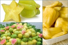 Những loại trái cây mùa thu ít hóa chất
