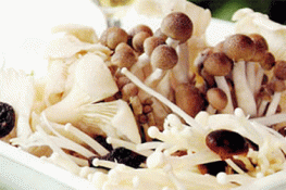 Lợi ích của nấm tươi và cách bảo quản