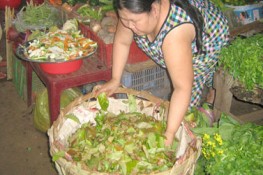 Về Bình Phước thưởng thức đọt mây, lá nhím