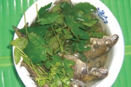 Cá giò nấu lá thông gai