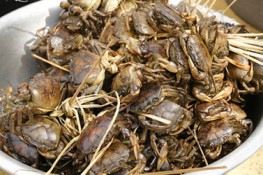 Cua đồng được bắt bằng thuốc sâu ra Hà Nội
