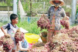 Bị mù vì dùng hóa chất bảo quản hành