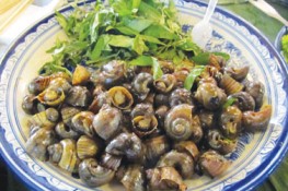 Lạ mà ngon cùng ốc bươu xốt nước cốt dừa