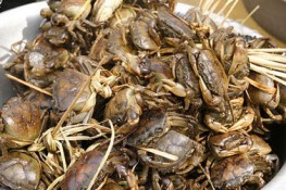 Không phát hiện thuốc trừ sâu trong cua đồng
