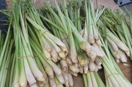 Công dụng chữa bệnh của sả