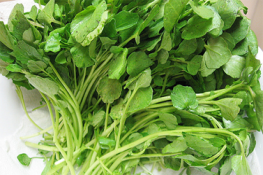 Công dụng phòng ung thư từ cải xoong