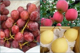 Những loại quả chứa nhiều chất độc hại năm 2012
