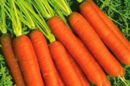 Bí quyết bảo quản rau củ quả được lâu