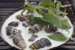 Ốc len xào dừa ngon khó cưỡng