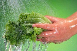 Tránh nhiễm khuẩn từ nhà bếp cho Tết khỏe