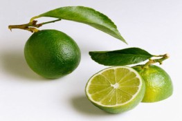 Những thực phẩm tốt cho sức khỏe