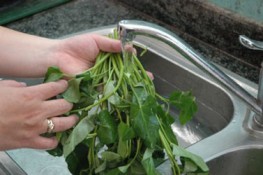 Rửa rau sao cho sạch