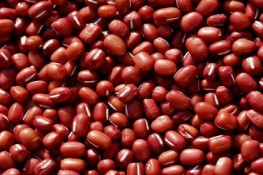 Tác dụng của đậu