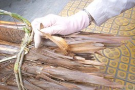 Tuổi thơ với đọt chà là