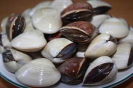 Giúp bạn chọn ngao, sò, ốc ngon