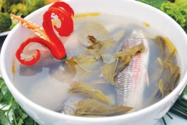 Ngon như canh cá niên lá giang