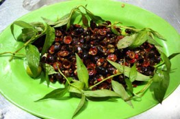 Những món ốc ngon cay xé lưỡi
