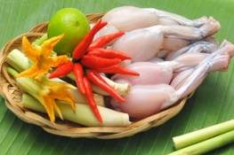 Tháng 3 mùa ếch