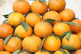 Mẹ bầu đừng quên cam sành