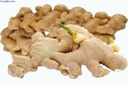 Dân biết bán gừng cho ai?