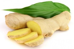 "Nhớ chăm bụi gừng"
