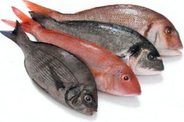 Mẹo giữ cá tươi
