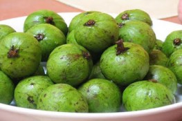 Sấu dầm mắm