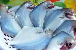 Tác dụng của cá chim
